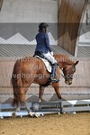 ref. photo 3367008