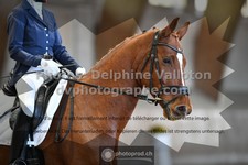 ref. photo 3367012