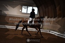 ref. photo 3367046