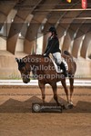ref. photo 3367055
