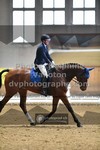 ref. photo 3367106