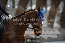 ref. photo 3367109