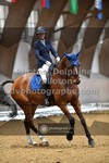 ref. photo 3367117