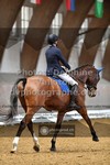 ref. photo 3367122