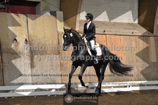 ref. photo 3367150