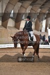 ref. photo 3367318