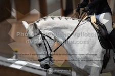 ref. photo 3367321