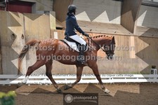 ref. photo 3367433