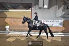 ref. photo 3367469