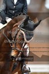 ref. photo 3367475