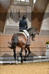 ref. photo 3367503