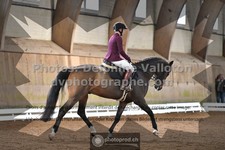 ref. photo 3367608