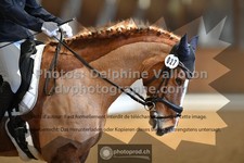 ref. photo 3367641