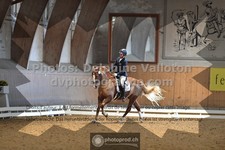 ref. photo 3367679