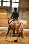 ref. photo 3367715