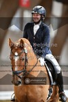ref. photo 3367730
