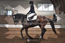 ref. photo 3367806