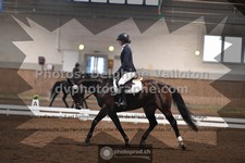ref. photo 3367814