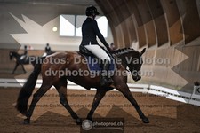ref. photo 3367880