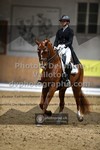 ref. photo 3367967