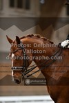 ref. photo 3367970
