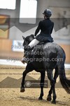 ref. photo 3368098