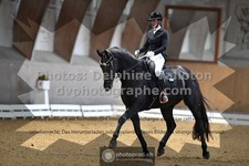 ref. photo 3368113