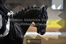 ref. photo 3368139