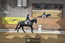 ref. photo 3368140
