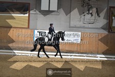 ref. photo 3368141