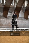 ref. photo 3368166