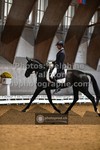 ref. photo 3368168