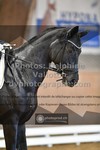 ref. photo 3368182