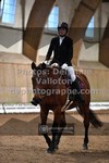 ref. photo 3368271