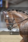 ref. photo 3368304