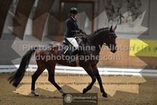 ref. photo 3368343