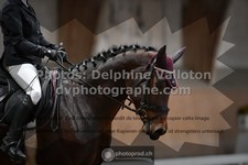 ref. photo 3368358