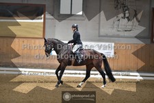 ref. photo 3368361