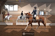 ref. photo 3368381