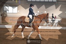 ref. photo 3368383