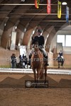 ref. photo 3368505