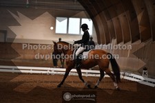 ref. photo 3368511