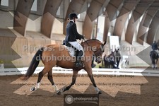 ref. photo 3368525
