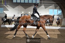 ref. photo 3368539