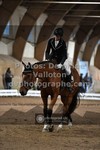 ref. photo 3368554