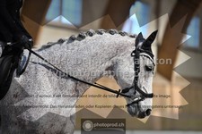 ref. photo 3368627