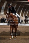ref. photo 3368667