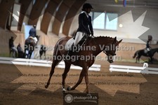 ref. photo 3368683