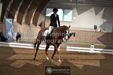 ref. photo 3368685