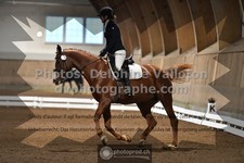 ref. photo 3368687